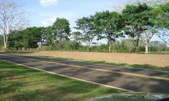 Imagem: SITIO NO TREVO DE POLONI INIGUALÁVEL NA