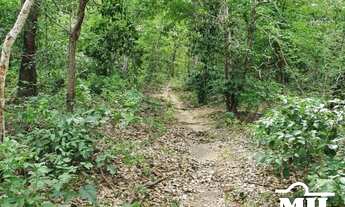 Imagem 6: Fazenda 100 alqueires ( 484 hectares ) Cavalcante-GO