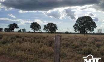 Imagem 5: Arrendamento Agrícola em Nova Crixas-GO (726 Há