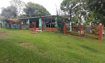 Imagem 6: Fazenda 80.57 Alqueires (390 Há) em São João da Aliança - GO