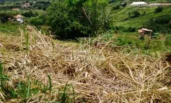 Imagem 3: Lotes no Campos do Vale 2