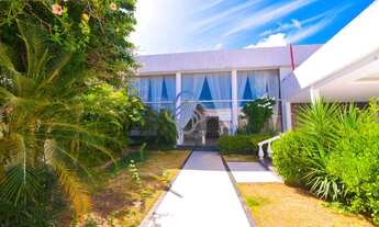 Imagem 5: Ponto comercial loja galpão salão locação aluguel com pé direito elevado climatizado com