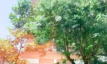 Imagem 2: Vendo lindo apartamento no Ed Tambataja (OPORTUNIDADE