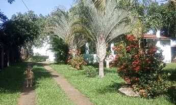 Imagem 7: Vende-se Chácara