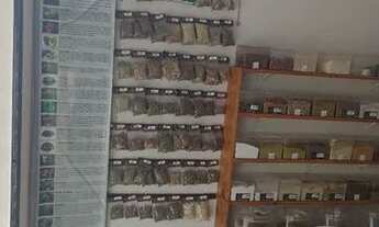 Imagem 6: Loja Galpão / depósito com venda por R$25.000