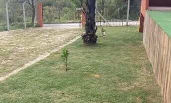 Imagem 6: Sítio em contagem