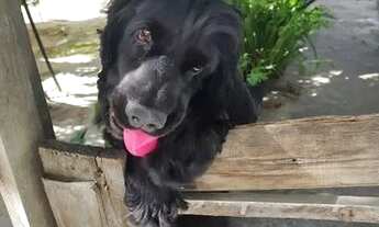 Imagem 5: Quarto no lagoinha para alugar