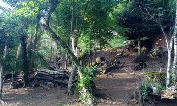 Imagem 7: Sitio para descansar com muitas frutíferas valor 85,900,00 avista