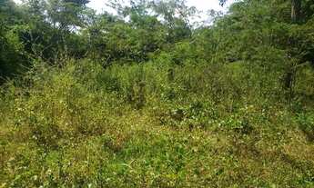 Imagem 3: Chácara próxima a Goiânia 9 km de Guapo com riacho no fundo energia