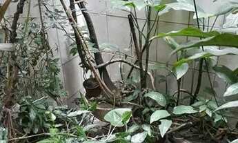 Imagem 7: Sobrado com 5 dormitórios à venda, 243 m² por R$ 780.000,00 - Jardim Brasil - São Paulo/SP