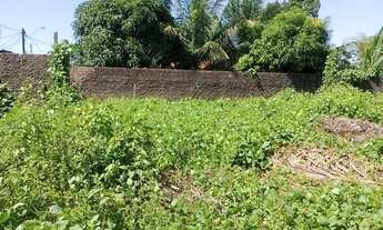 Imagem 3: Lote 10m x 25m Novo Cohatrac preço de oportunidade