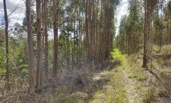 Imagem 5: Sítio em Rafard próximo do Pesqueiro Bresiane