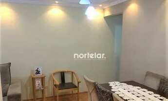 Imagem 2: Apartamento- 3 Dorms, 1 Vaga - Vila Amália!!!