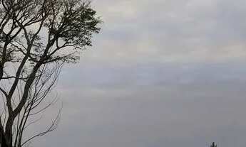 Imagem 3: Lote/Terreno para venda possui 500 metros quadrados em Centro - Cotia - SP