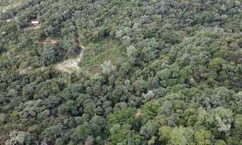 Imagem 2: Terreno Rural a Venda em São Pedro de Alcântara