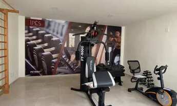 Imagem 7: Ipês - Reserva do Trapuá - Carpina - PE