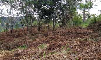 Imagem: Terreno para Sítio no Pagará Grande em