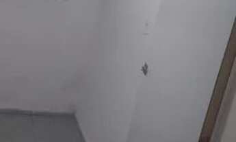 Imagem 5: Alugo casa em potilandia próximo a UFRN