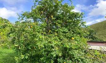 Imagem 6: NEGOCIAÇÃO DIRÉTAMENTE COM O PROPRIETÁRIO!!!