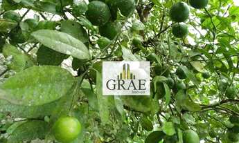 Imagem 2: Casa com 4 dormitórios à venda, 485 m² por R$ 900.000,00 - Riacho Grande - São Bernardo do