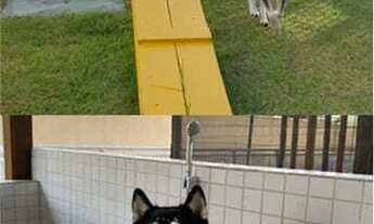 Imagem 6: Apartamento novo no Green Garde Residense- Torre sun -Idibra. Papicu