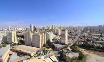 Imagem 6: Apartamento para Aluguel - Cambuci, 2 Quartos, 39 m2