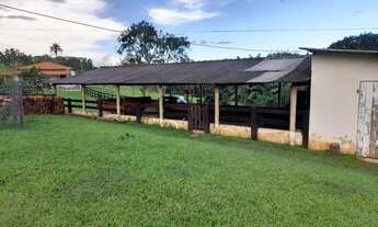 Imagem 2: Sitio em capitinga 44 alqueires 7.480.000.00 ( isa