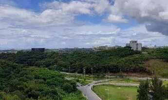 Imagem 4: Horto São Rafael nascente!