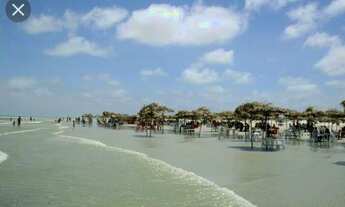 Imagem 4: Terreno na Ilha de Algodoal