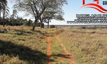 Imagem 5: Fazenda Na Região de Gurinhatã MG