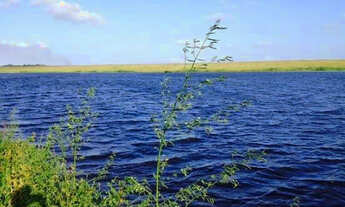Imagem 6: Repasse Fazenda Real 1 beira lago Paraíba