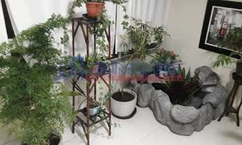 Imagem 6: COBERTURA - ROCADO