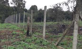 Imagem 5: Itaara - Terreno Padrão - Vila Etelvina