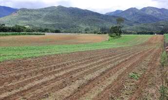 Imagem 7: Sítio em Santo Amaro da Imperatriz no Sul do Rio 2 Hectares Com Escritura Pública