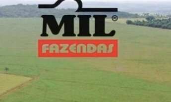 Imagem 6: 82 Alq. (397 Há). Terra Cultura c/ Soja e Pasto. 50 km de Goiânia