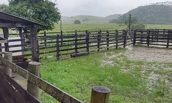 Imagem 7: SILVA JARDIM FAZENDA PRONTA COM 31 ALQUEIRES MINEIROS