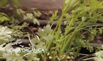 Imagem 7: TERRENO SPA RESORT SANTA BARBARA RESIDENCE