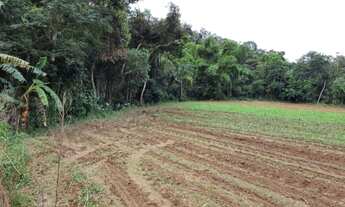 Imagem 3: Sítio em Santo Amaro da Imperatriz no Sul do Rio 2 Hectares Com Escritura Pública