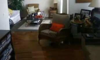 Imagem 5: Apartamento Padrão em São José dos Campos