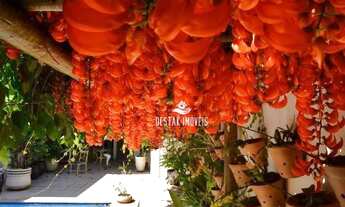 Imagem 3: Casa com 3 dormitórios à venda, 250 m² por R$ 1.070.000 - Jardim Colina - Uberlândia/MG