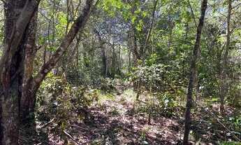 Imagem 7: Chácaras de 20 mil mt a venda 3km da cidade de Cromínia!