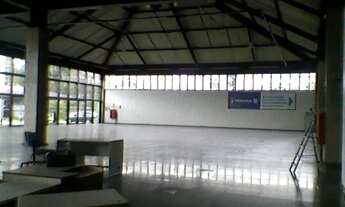 Imagem 3: Ref. 44965 [R$] Scheid Marajoara Creci 16.377-J