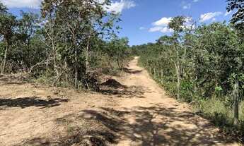 Imagem 7: Chácara 9000m², Energia, Arborizada, Linda Vista, 600m Asfalto, 2km Aragoiânia