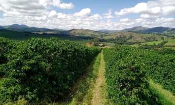 Imagem 4: Fazenda de Café em Guapé MG - Dim
