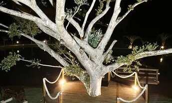 Imagem 5: SÍTIO DE ALTO PADRÃO