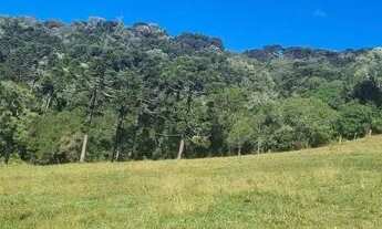 Imagem 5: Terreno - Urubici