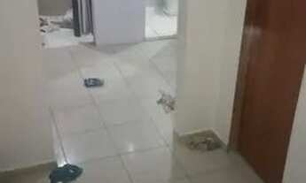 Imagem 3: Aluguel de casa em itapissuma centro