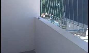 Imagem 6: Apartamento Apartamento com 2 dormitórios