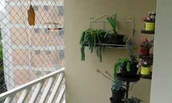 Imagem 5: SAO PAULO - Padrão - Vila Mascote