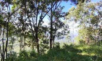 Imagem 7: Sitio a Venda Pronto para Viver - São Pedro de Alcântara